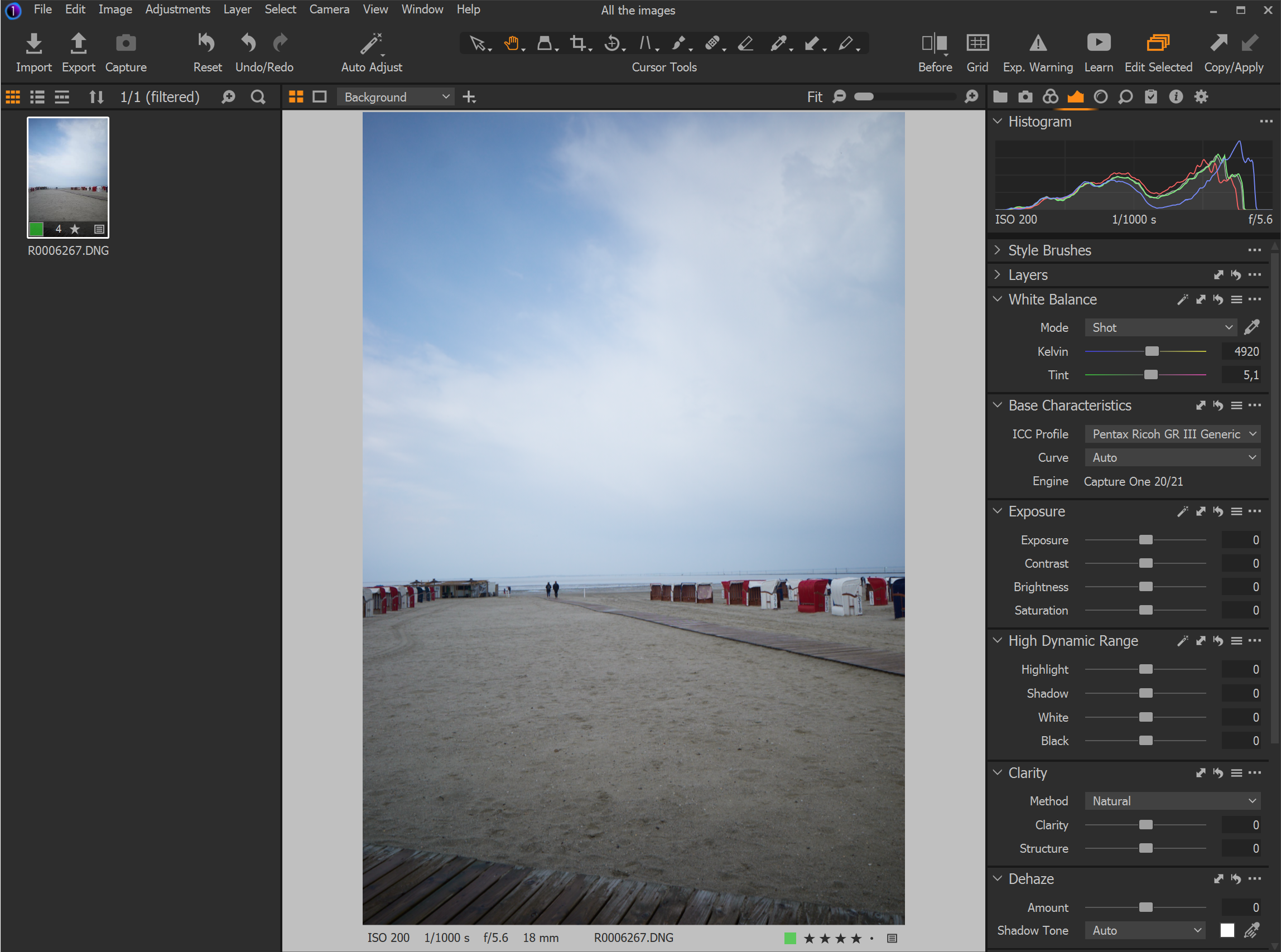 Capture One screen layout